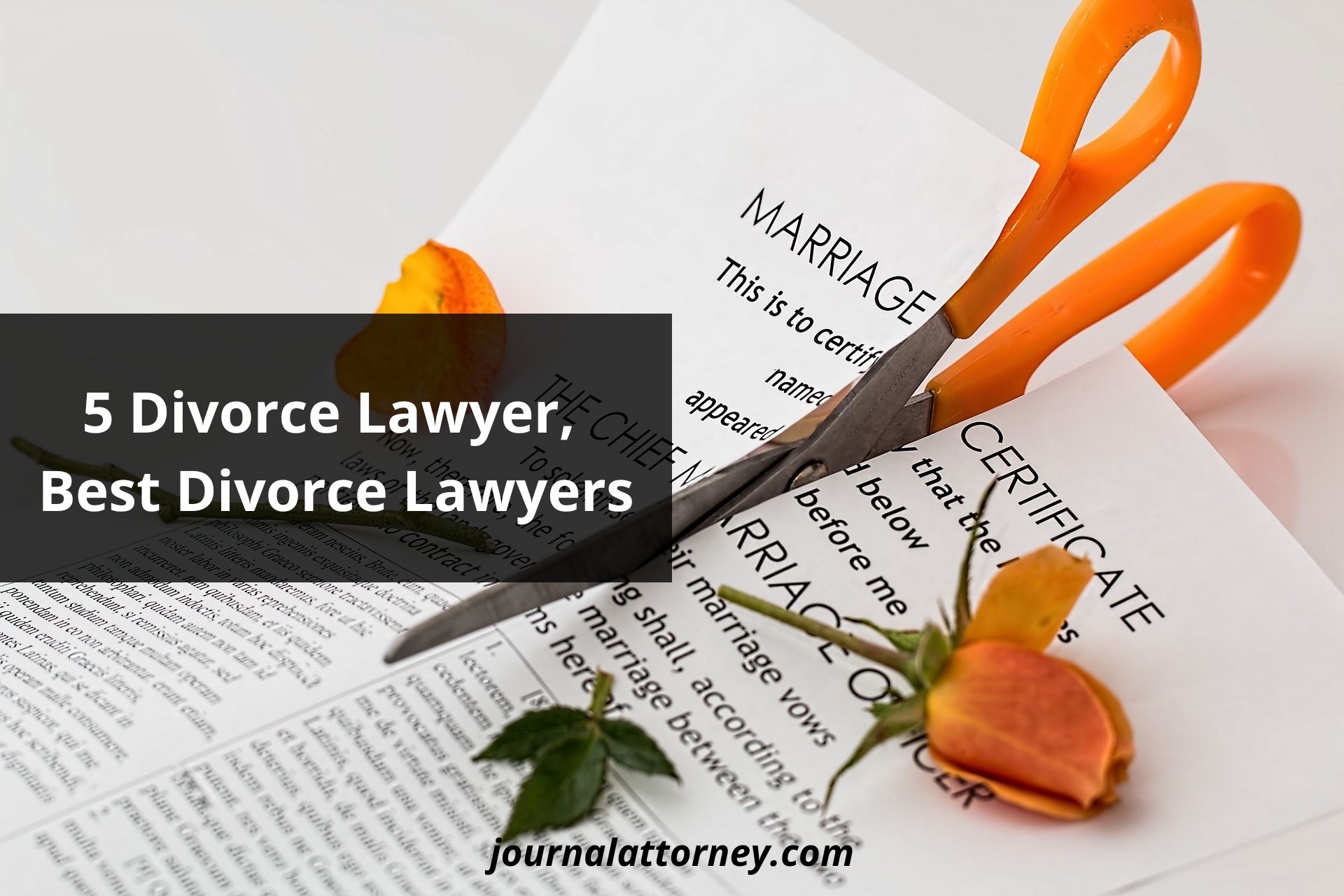 Divorce Lawyer