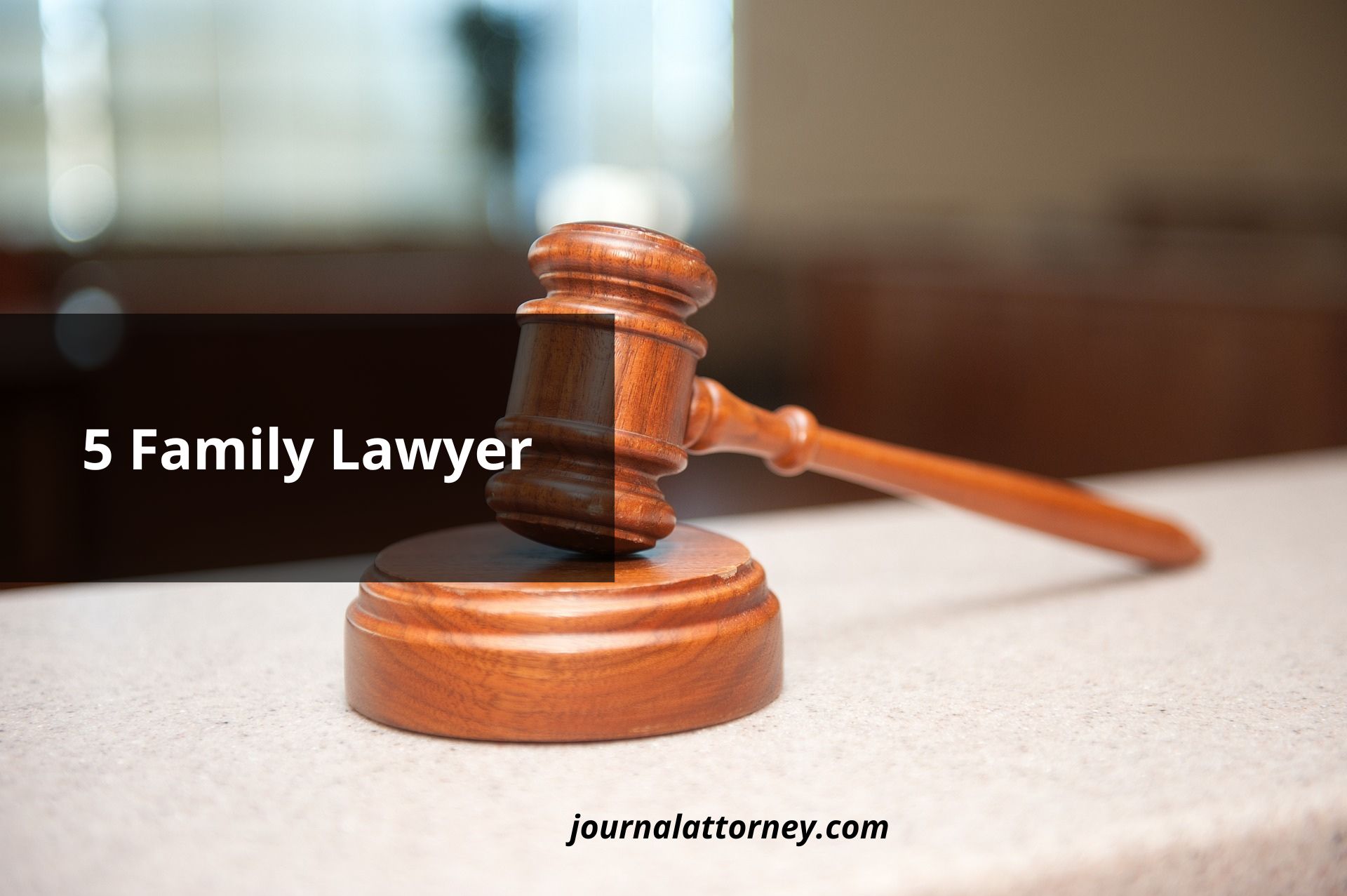 Family Lawyer